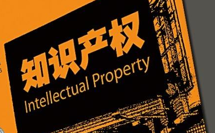 知识产权 知识产权